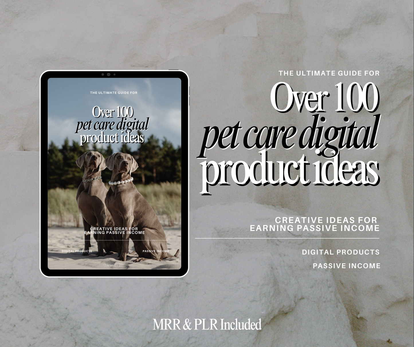 100+ Pet Care Digital Product Ideas with MRR