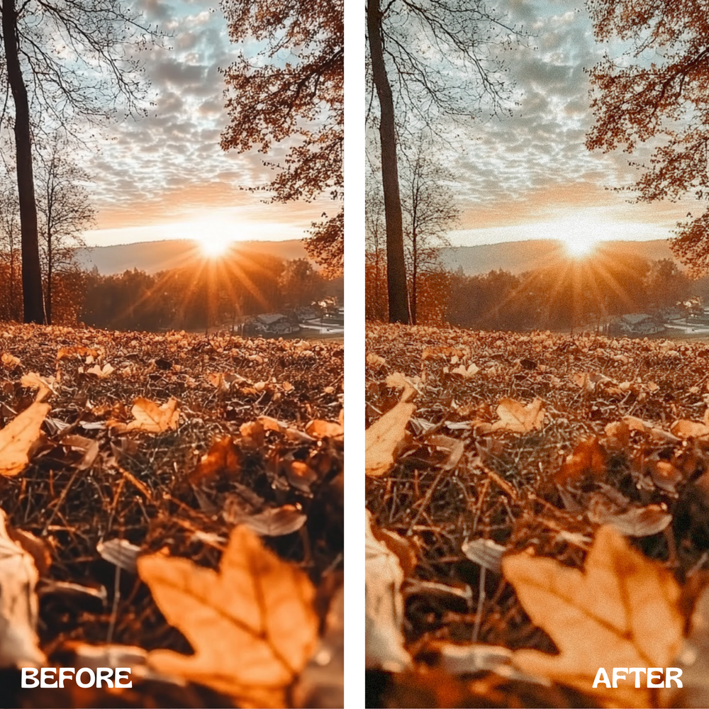 
                      
                        Crisp Autumn Lightroom Presets
                      
                    