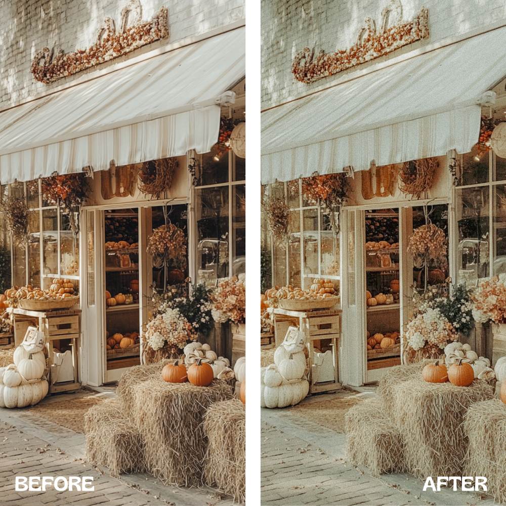 
                      
                        Crisp Autumn Lightroom Presets
                      
                    